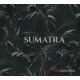 Обои AS Creation Sumatra