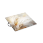 Levita