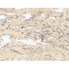 Пробковый пол Granorte Primus Rustic Pearl