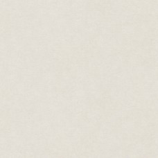 Немецкие обои AS Creation (ас креатион) 39597-6 Amber