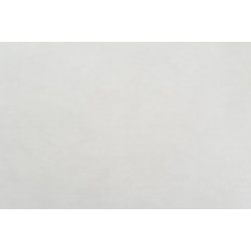 Обои виниловые на флизелине Артакс Варьете 10970-04. 1,06*10,05м