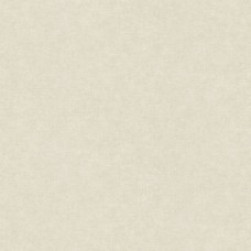 Немецкие обои AS Creation (ас креатион) 39598-2 Amber