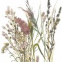 Немецкие обои Marburg Boho 35798 — бохо, с нарциссами, для кухни