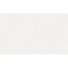 Обои виниловые на флизелиновой основе Erismann Miura 60847-03 10,05х1,06м